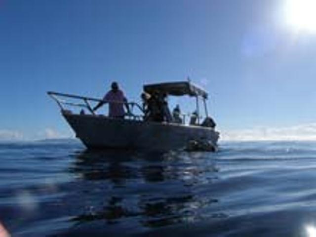 Отель Dolphin Bay Divers Retreat Vatolotolo Экстерьер фото