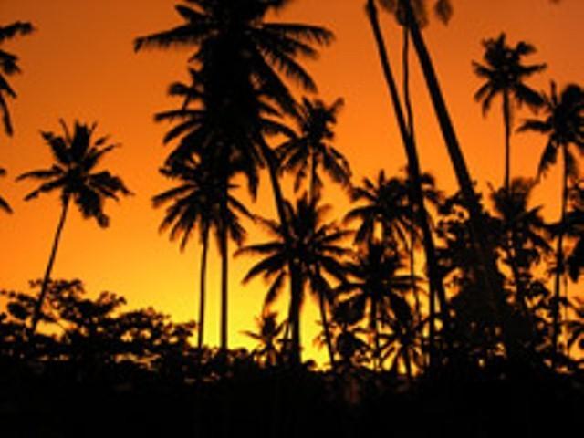 Отель Dolphin Bay Divers Retreat Vatolotolo Экстерьер фото