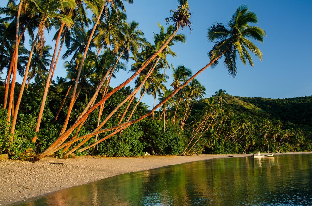 Отель Dolphin Bay Divers Retreat Vatolotolo Экстерьер фото