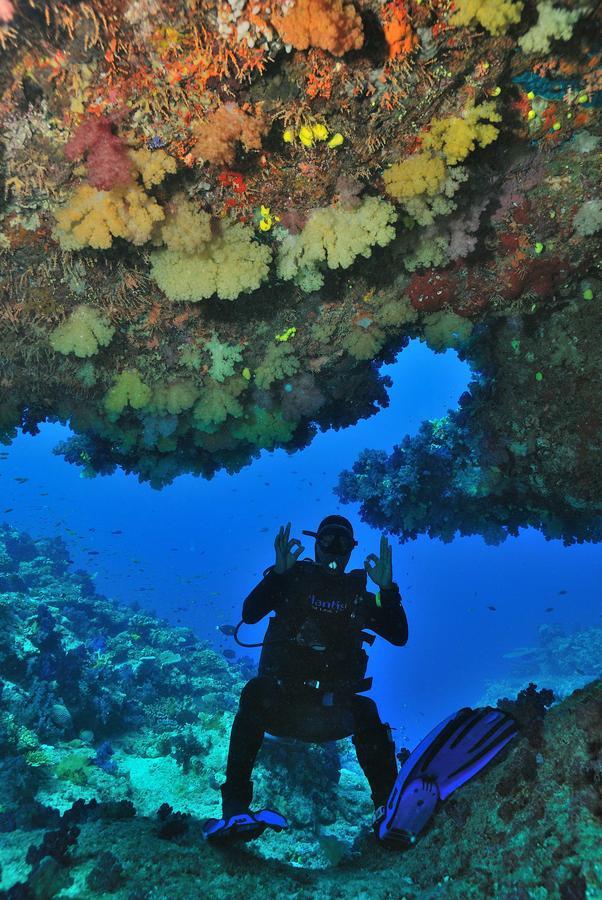 Отель Dolphin Bay Divers Retreat Vatolotolo Экстерьер фото